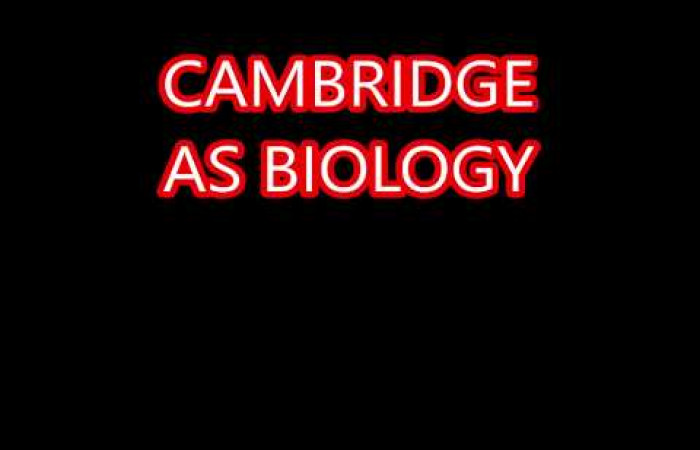 Cambridge AS BIOLOGY Ch 3 Enzymes  ( part )